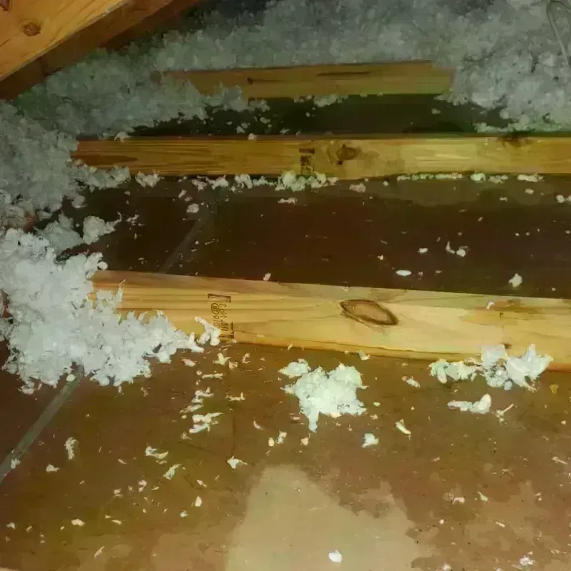 Attic Water Damage in Jefferson County, GA