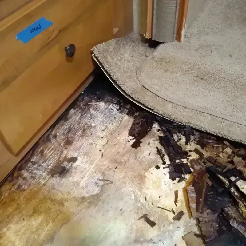 Wood Floor Water Damage in Jefferson County, GA